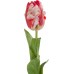 Декор Parrot Tulip