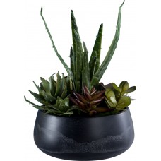 Декор Succulent