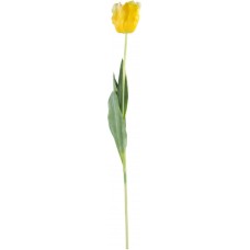 Декор Tulip Stem