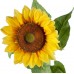 Декор Sunflower