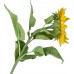 Декор Sunflower