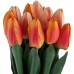 Декор Tulip Bundle