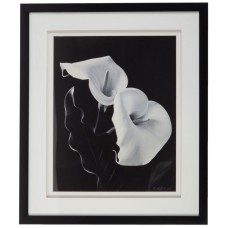 Постер с паспарту в раме Elegance Calla