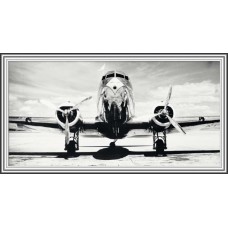 Постер в раме Passenger Airplane / IAS1391234