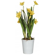 Декор Daffodil