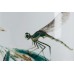 Табурет Dragonfly