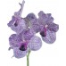 Декор Vanda Orchid