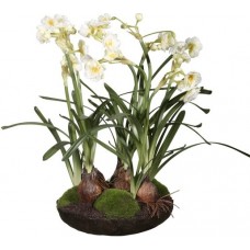 Декор Daffodil